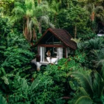 Glass-walled villa at Oxygen Jungle Villas overlooking Uvita's rainforest and the Pacific at sunset