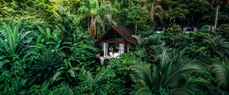Glass-walled villa at Oxygen Jungle Villas overlooking Uvita's rainforest and the Pacific at sunset
