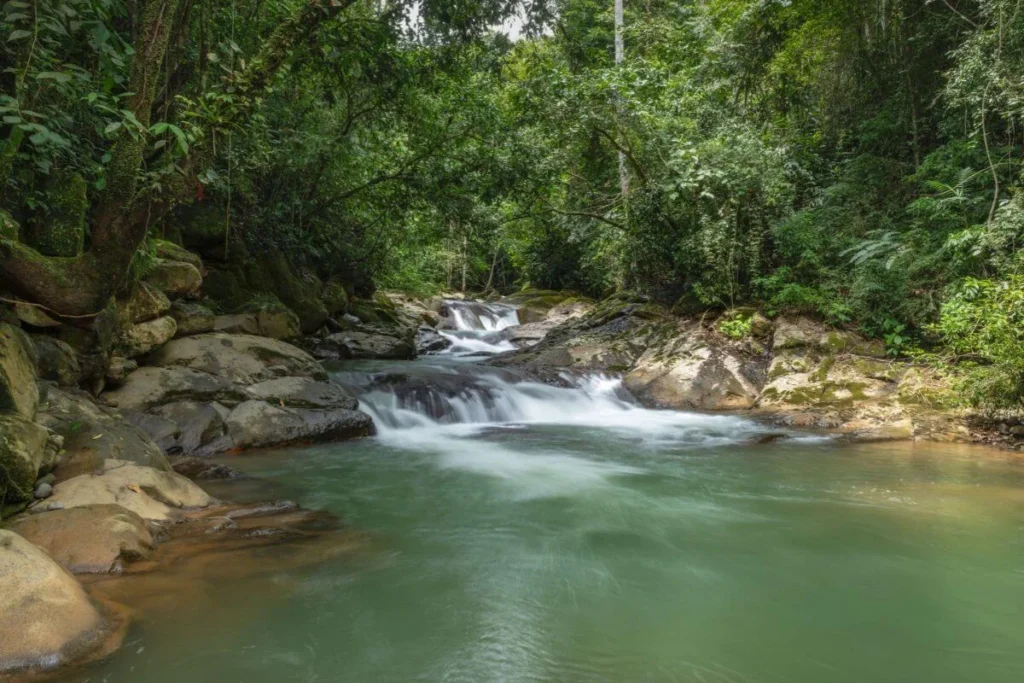 A long-exposure shot of a clear, flowing river cascading over large smooth rocks into a quiet greenish pool surrounded by a dense, green jungle canopy at Oxygen Jungle Villas in Uvita, Costa Rica.