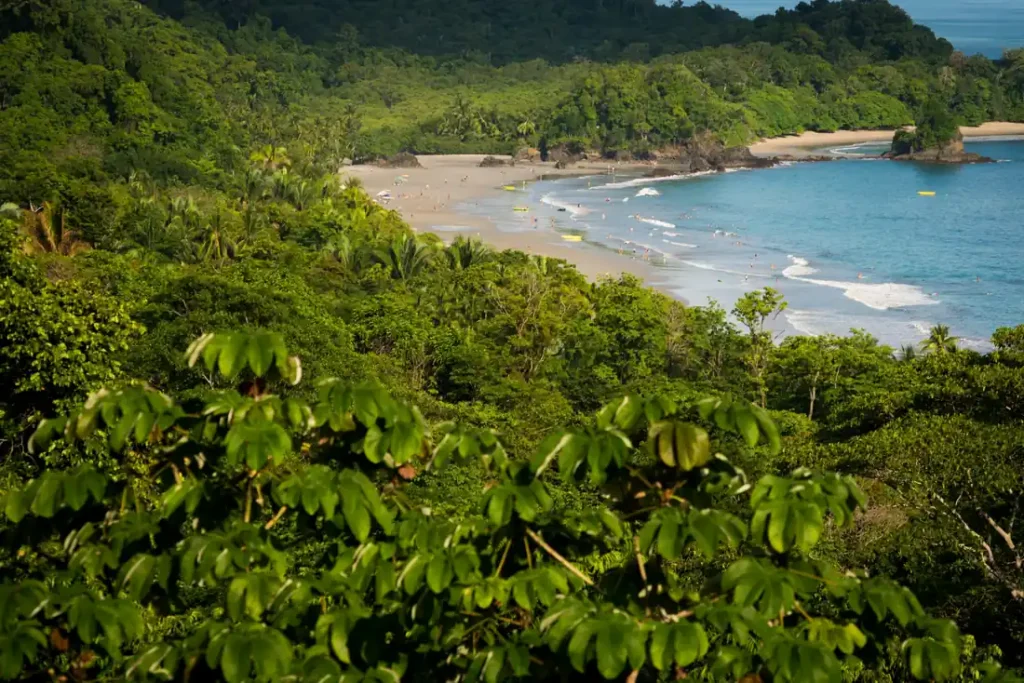 View through rainforest canopy of a curved sand beach with swimmers and blue Pacific water at Manuel Antonio National Park near Quepos, Costa Rica