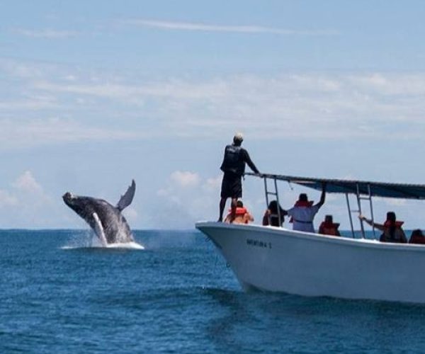 462713957_2840821506093587_5773990531542092147_n-qvw2d86wmtc1n9afrvu3496eafdyvwt30alq9ri264