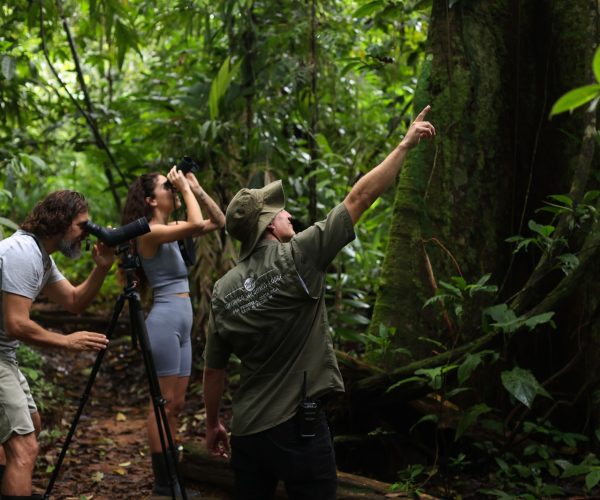 WhatsApp-Image-2026-03-12-at-7.18.55-PM