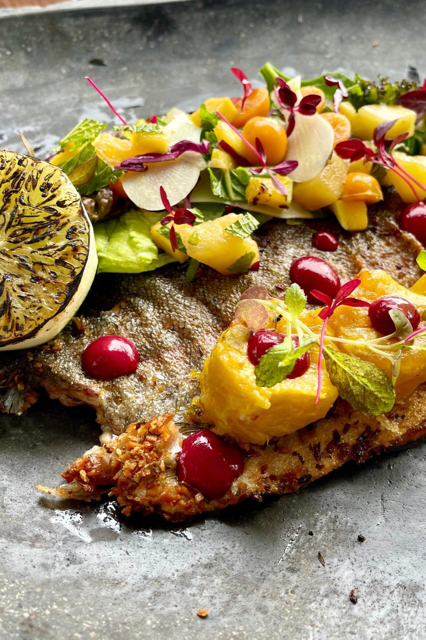 WhatsApp Image 2026-04-13 at 1.11.49 PM (3)