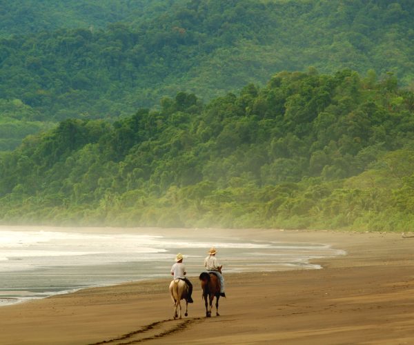 caballos playa 2.jpg