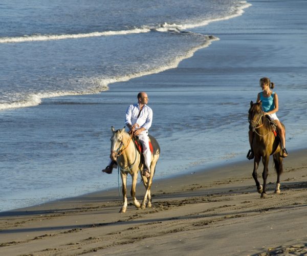 horses Brasilito 1.jpg
